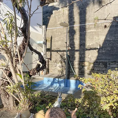 Casa Rondinella By Fewotessin * Orselina